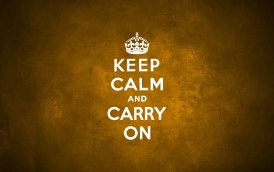 Keep calm and carry on : how to cope with the emotional stress of working as a freelance translator